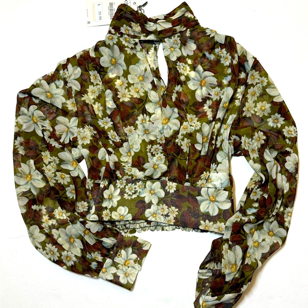 Zara Sheer Floral Keyhole Top XS NWT